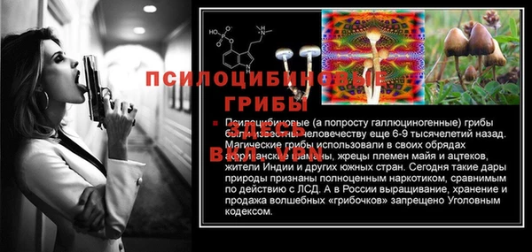 бутират Белокуриха