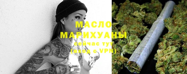 твердый Сясьстрой